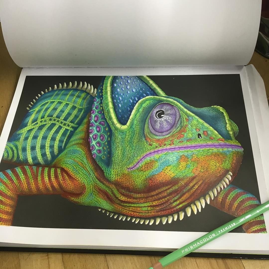 Наемник хамелеон том 1. Хамелеон пастелью. Хамелеон рисунок. Хамелеон цветными карандашами. Хамелеон масляной пастелью.