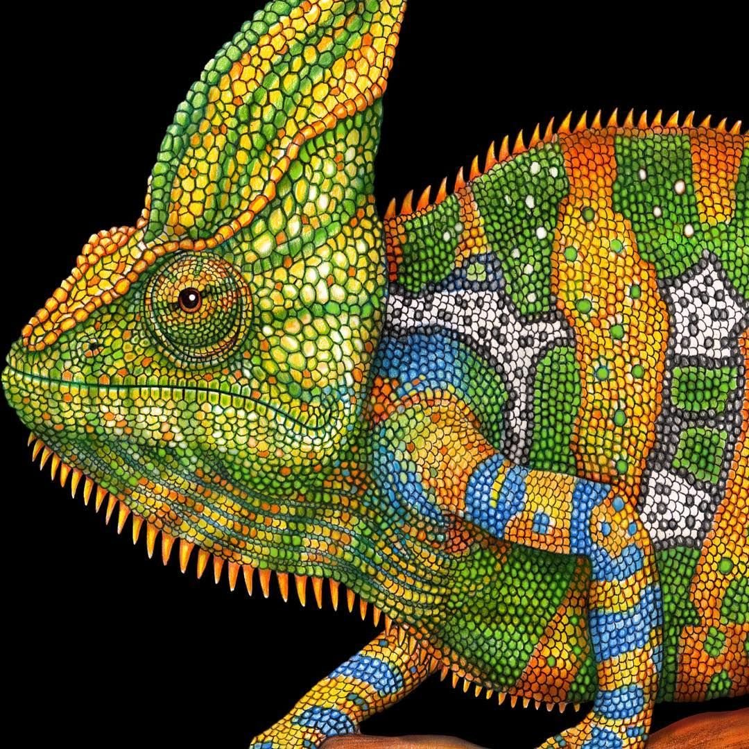 Скины хамелеона. Пуантилизм ящерица. Мозаика хамелеон. Хамелеон живопись. Хамелеон из мозаики.
