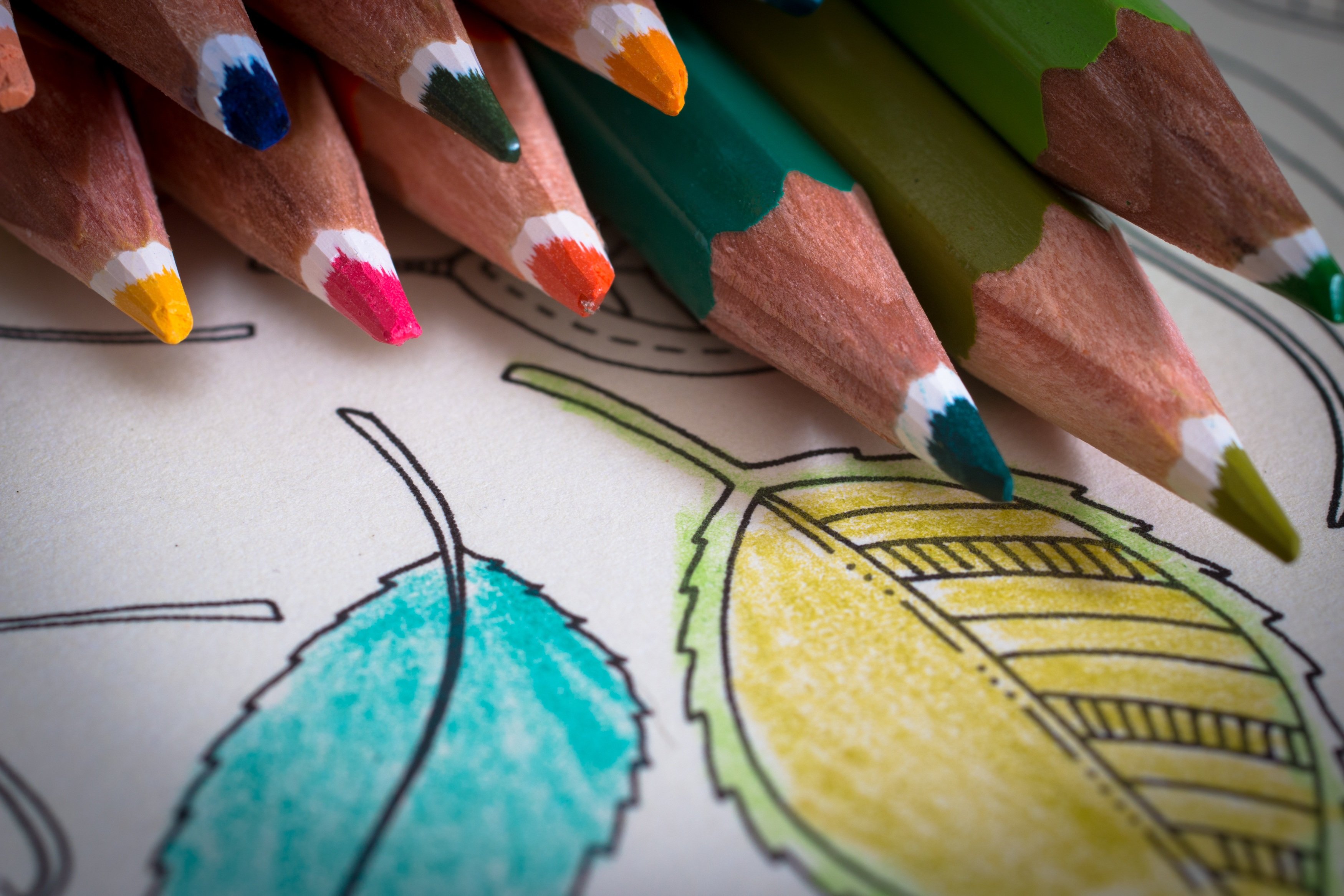 Карандаши цветные задания. Карандаши цветные. Праздник цветных карандашей. Креативный карандаш. Цветные карандаши картинки.