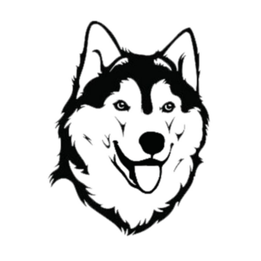 Эскиз морда собаки