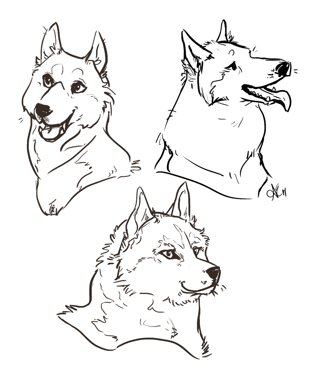 Собака скетч хаски