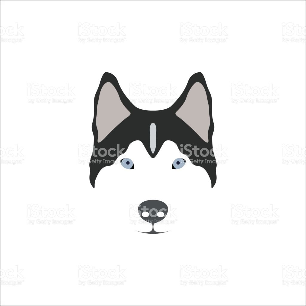 Голова хаски вектор