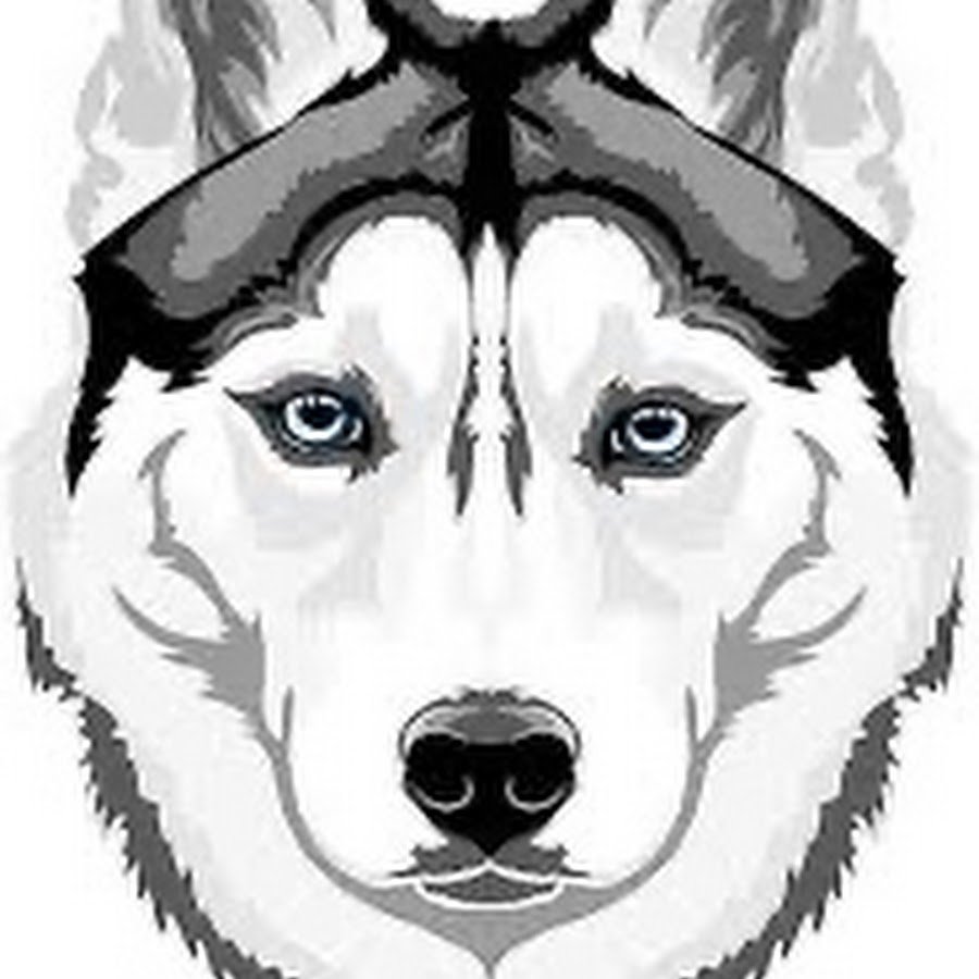 Хаски морда эскиз