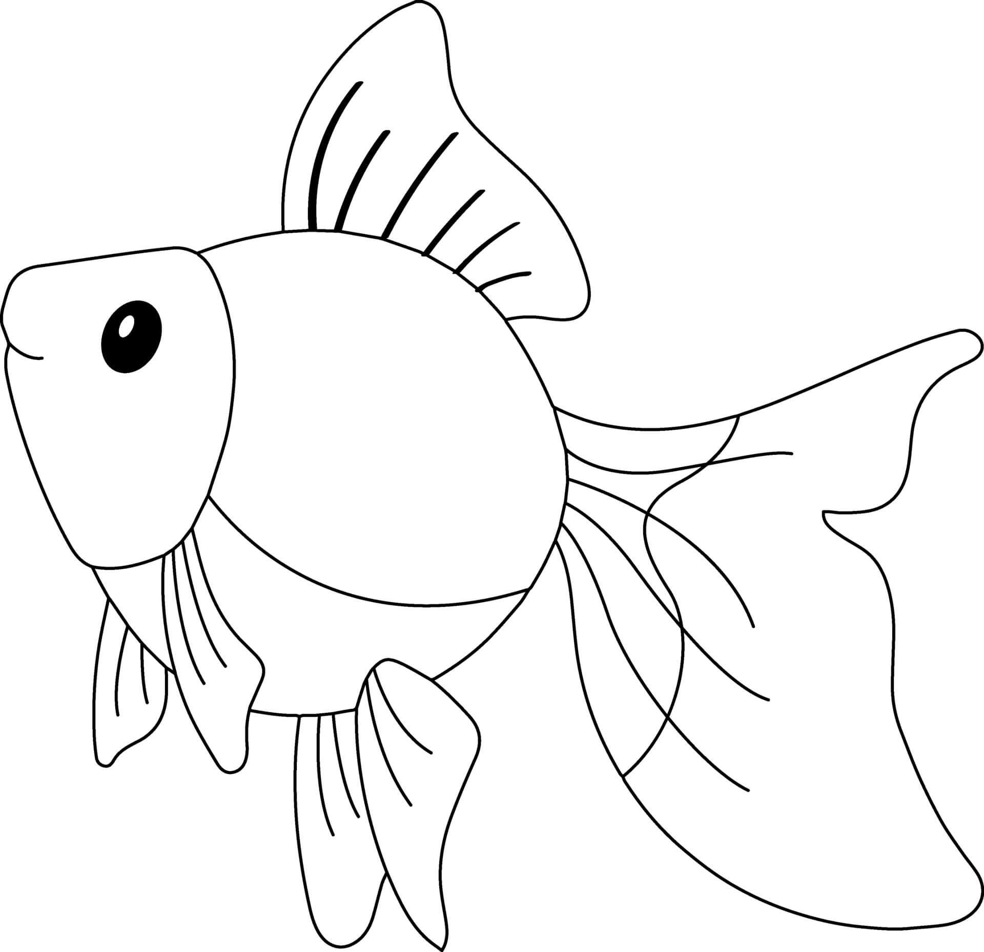 Рыбы для детей 3 4 лет. Рыбка вуалехвост раскраска. Золотая рыбка раскраска. Золотая рыбка раскраска для детей. Рыбка раскраска для детей.