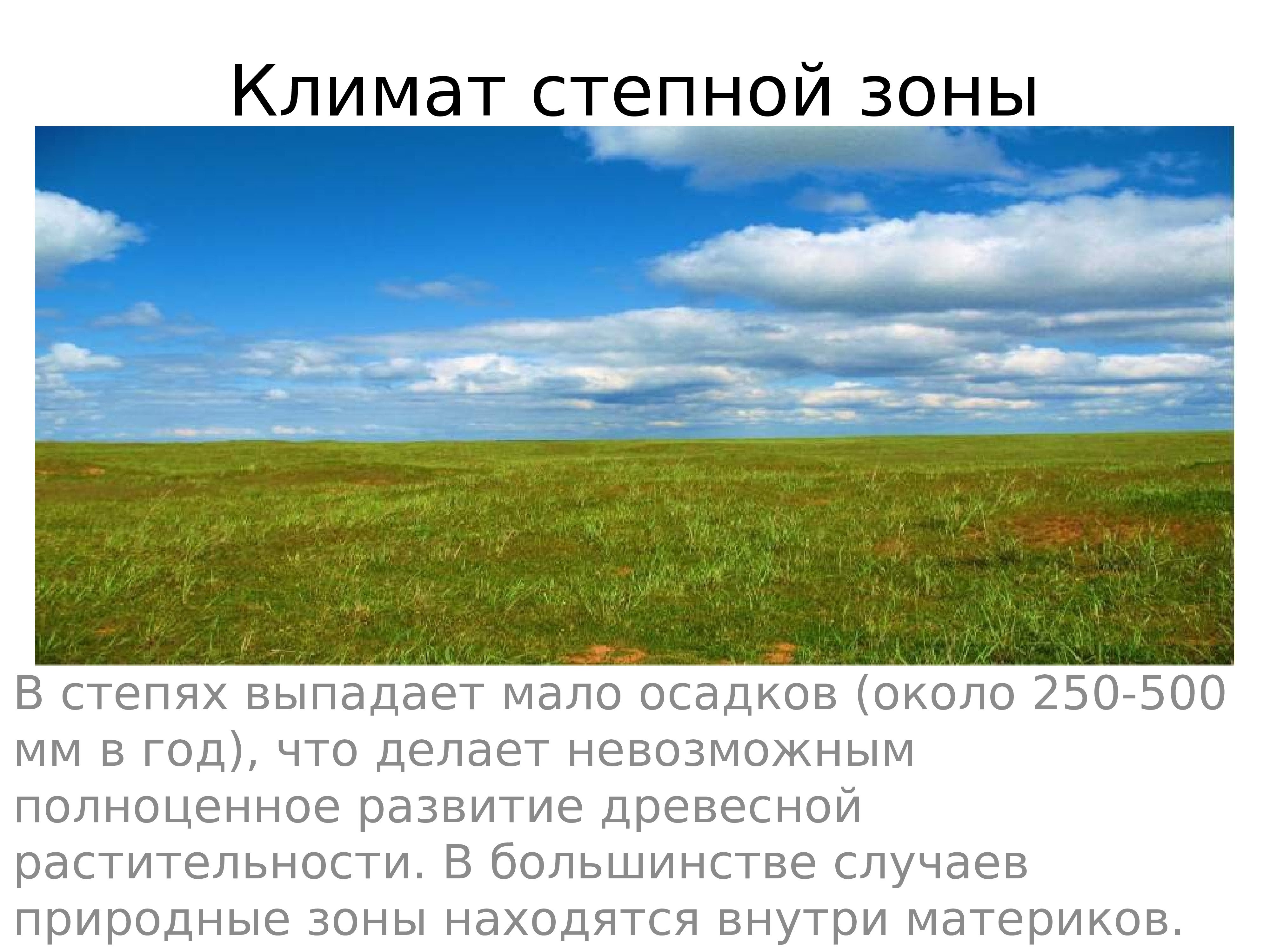 В россии зона степей расположена. Почва лесостепи и степи в Евразии. Природные зоны России степи и лесостепи. Зоны лесостепей и степей климат. Климат лесостепной и Степной зоны.