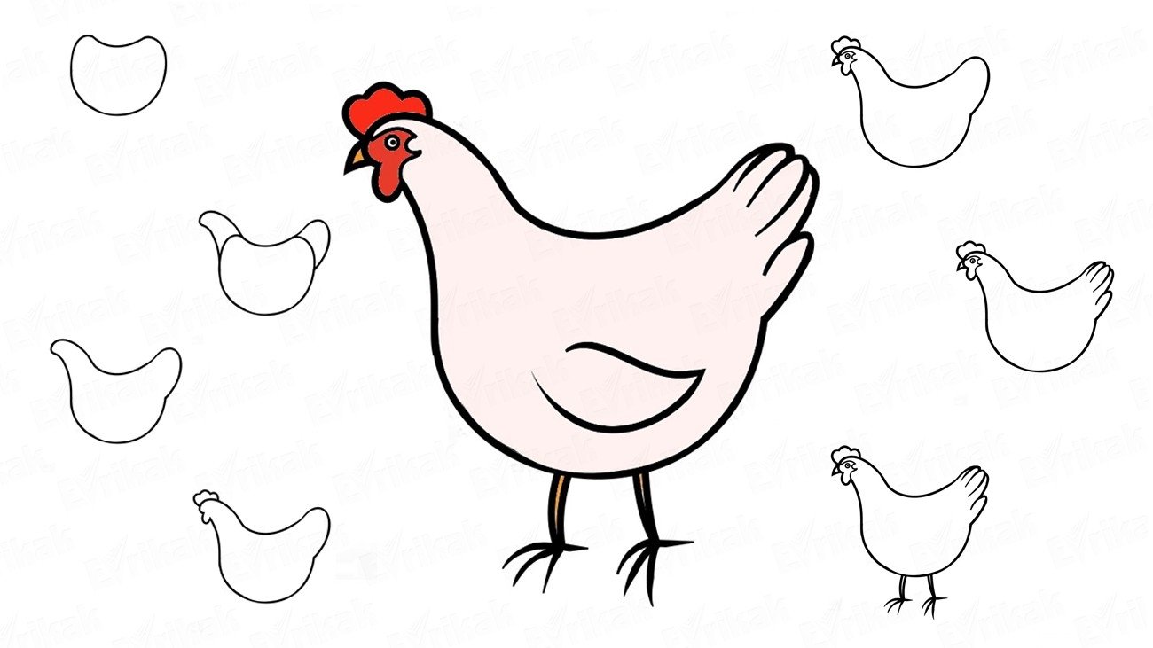 Курица легко и быстро. Рисунок курицы для срисовки. Курица раскраска. Курица рисунок легкий. Курица для срисовки легкая.
