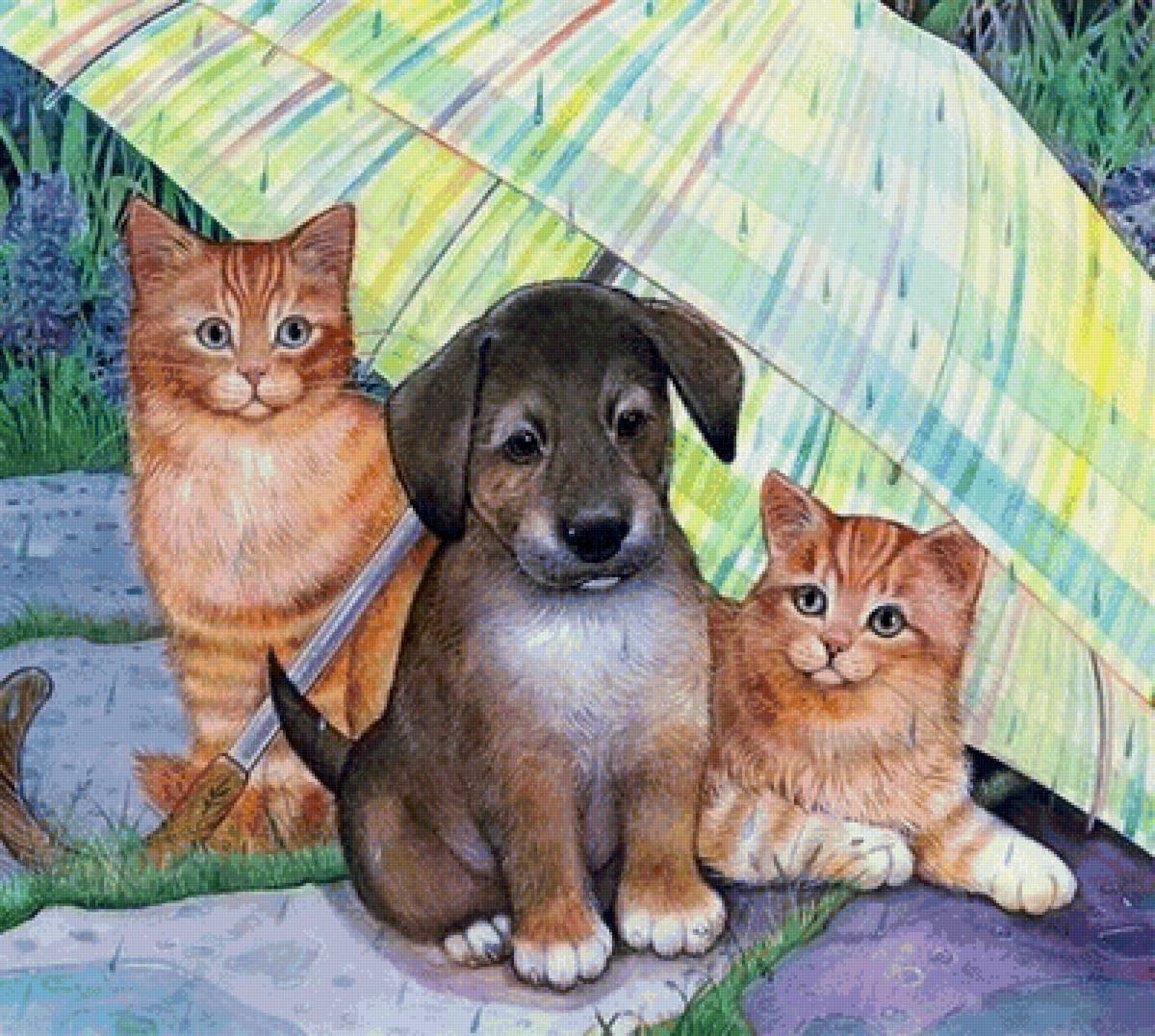 Кот в собаках 2. Amy Rosenberg. Картина котик и собачка. Кошки и собаки в живописи. Кошка и собака рисунок.