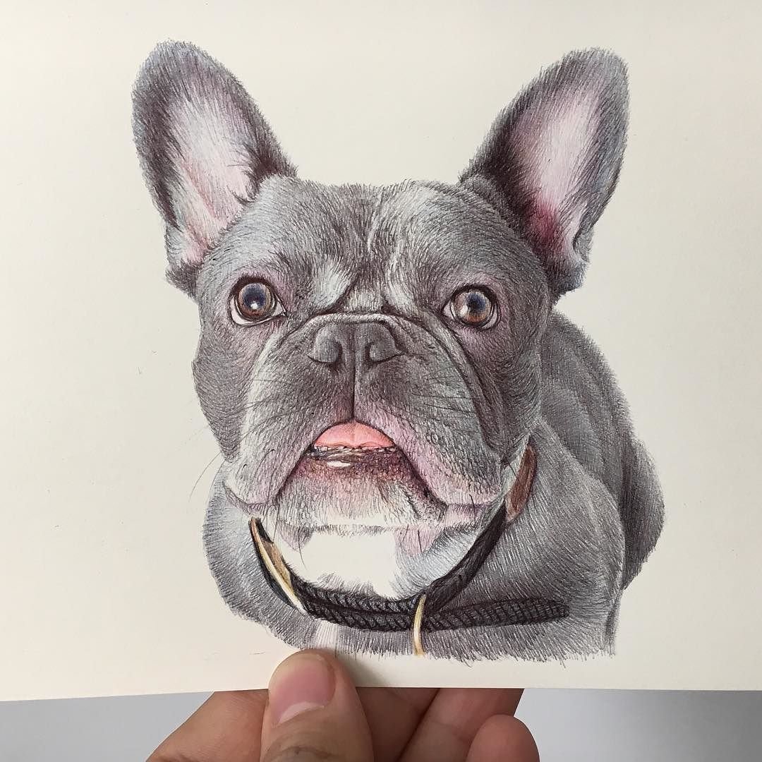 Нарисованный бульдог