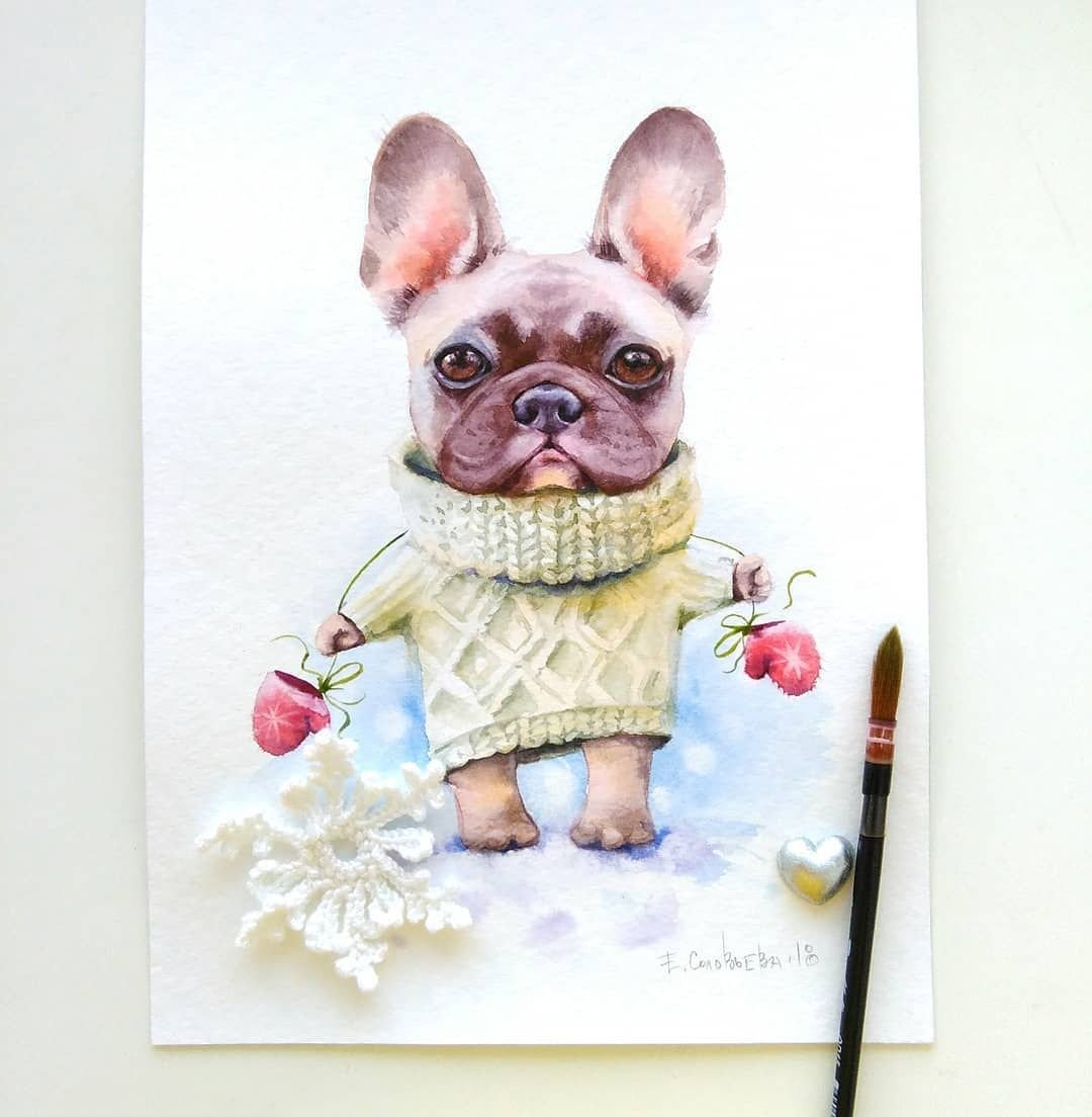 Французский бульдог скетч акварель