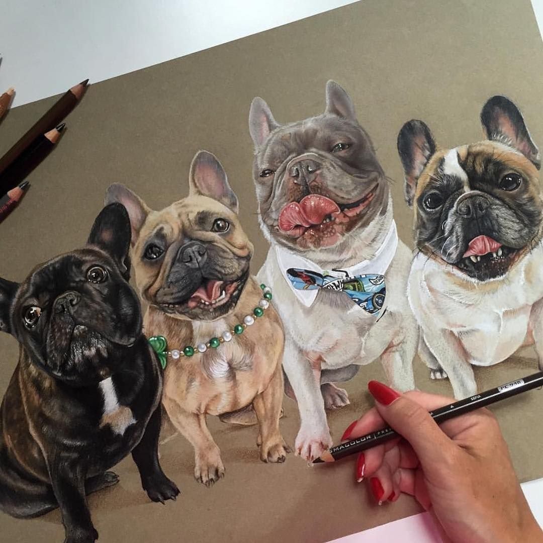 Французский бульдог контур