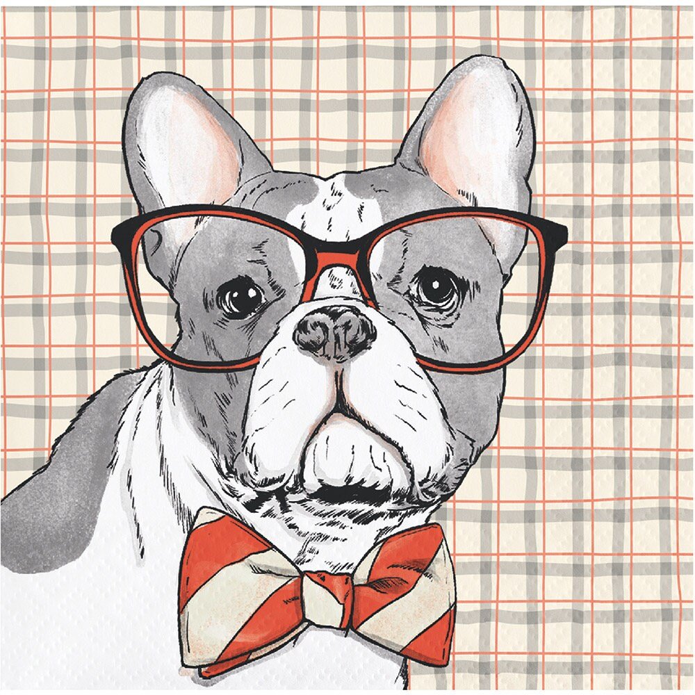 Французский бульдог в очках