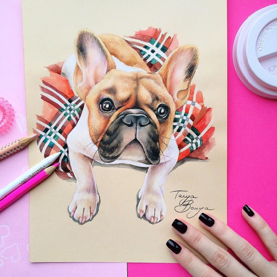 Британский бульдог вектор