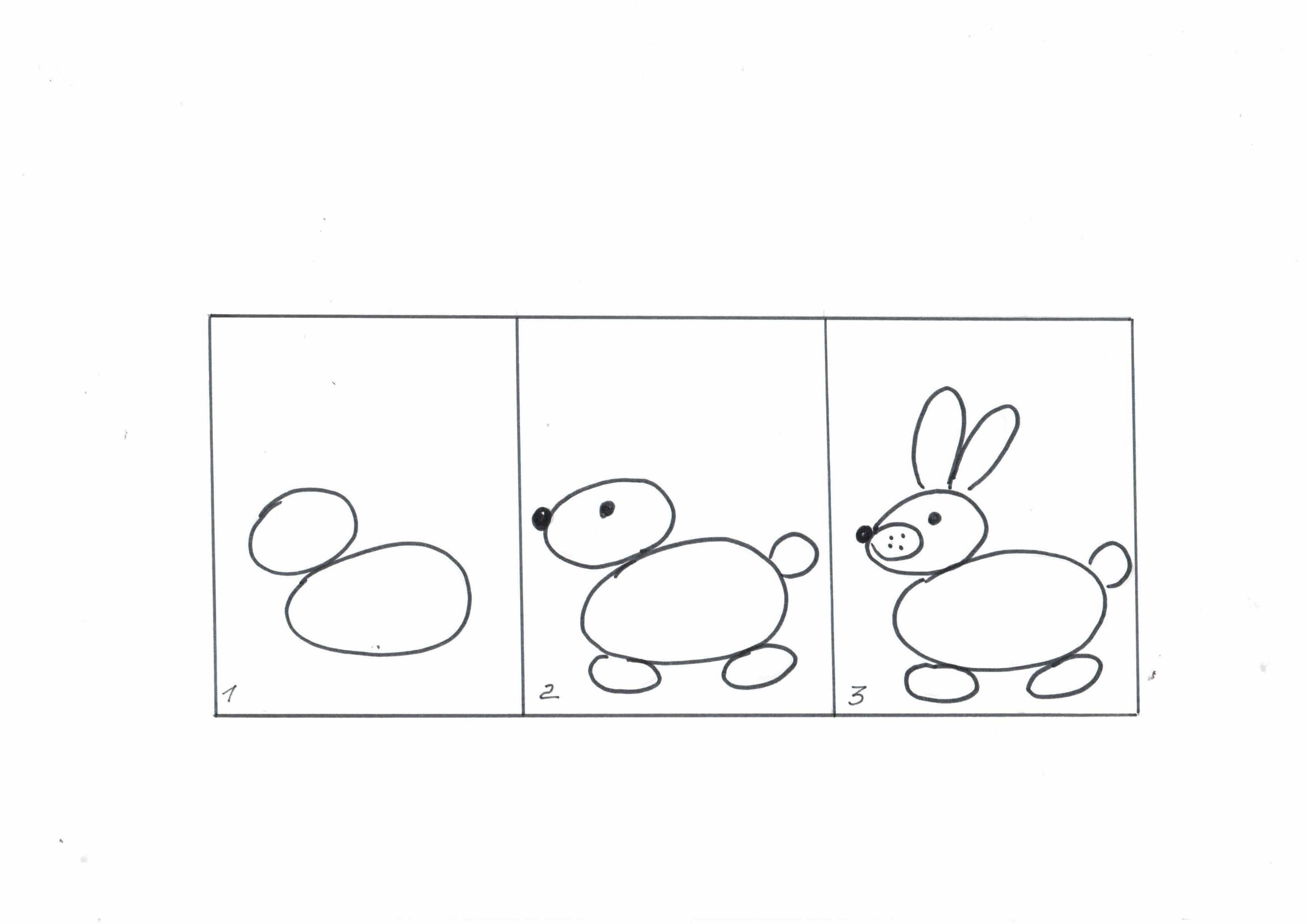 Рисование средняя группа нарисуй картинку. Рисование для дошкольников. Схемы для рисования в средней группе. Поэтапное рисование в средней группе. Схема рисования зайца в средней группе.