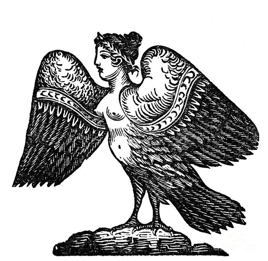 Сказочные птицы с головами девушек