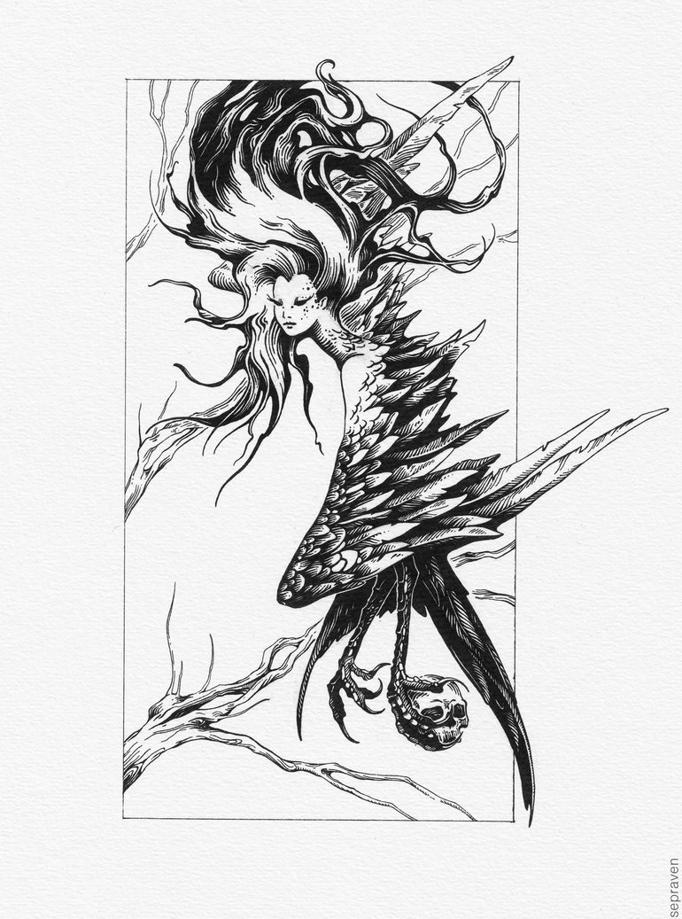 Сирин эскиз