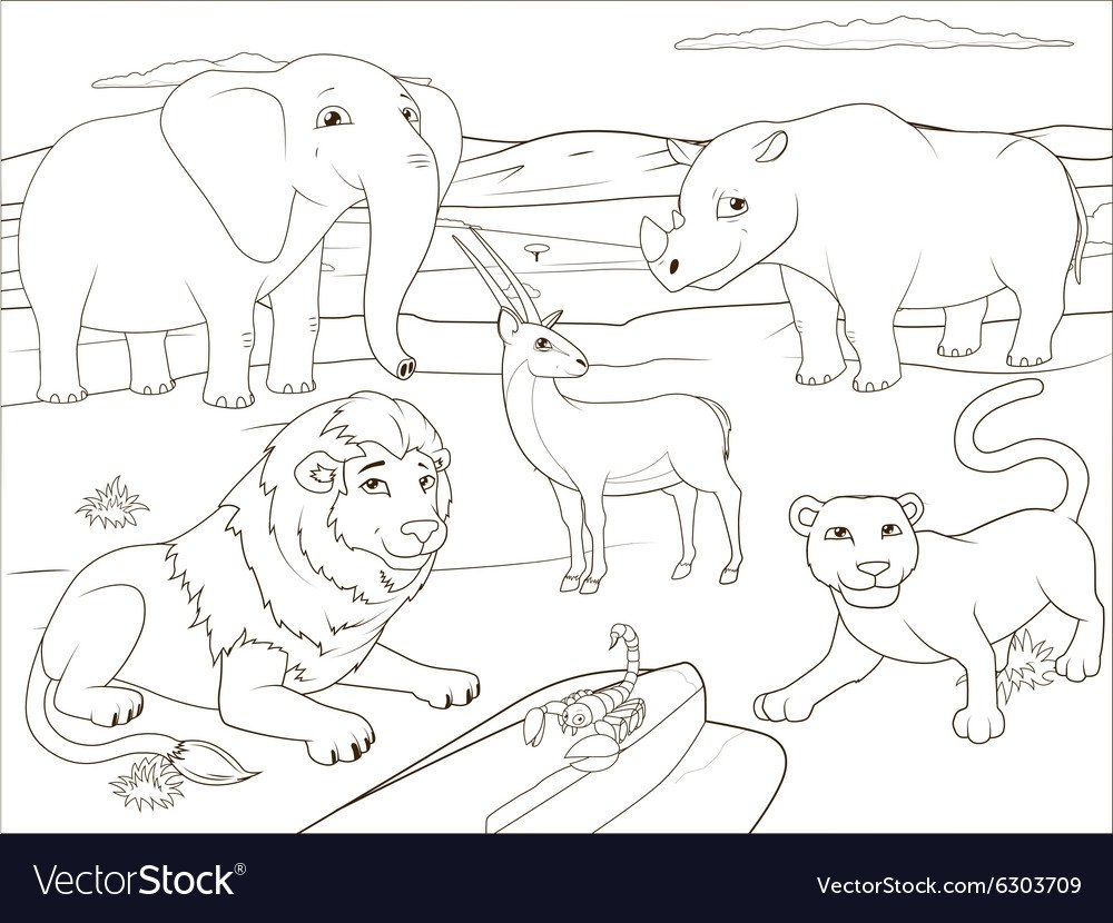 Зоопарк раскраска
