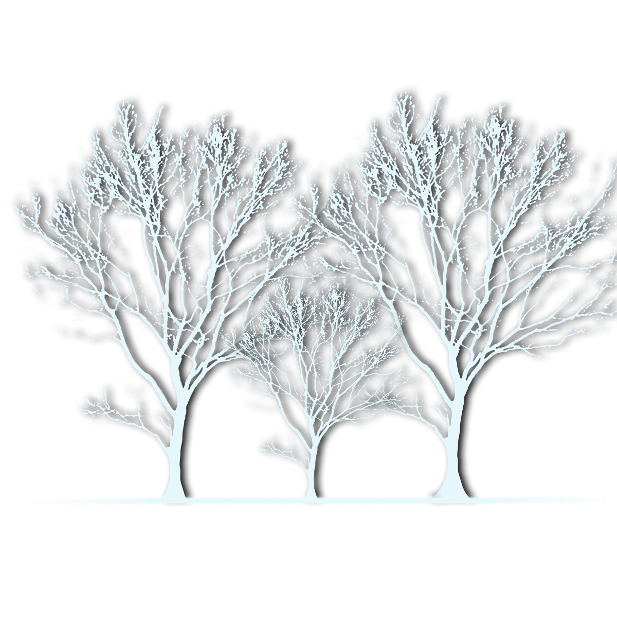Зимнее дерево на белом фоне