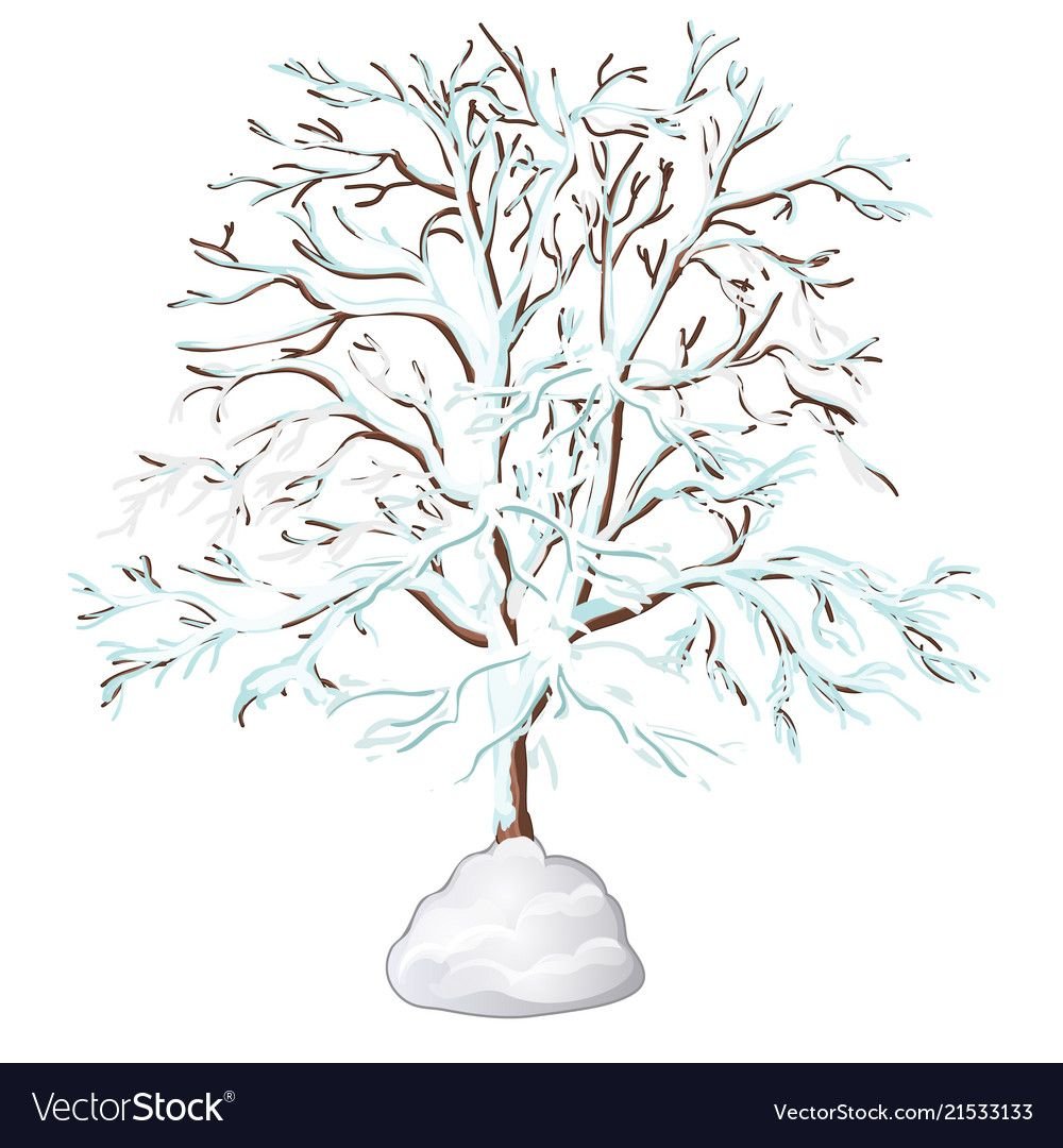 Зимнее дерево картинка для детей