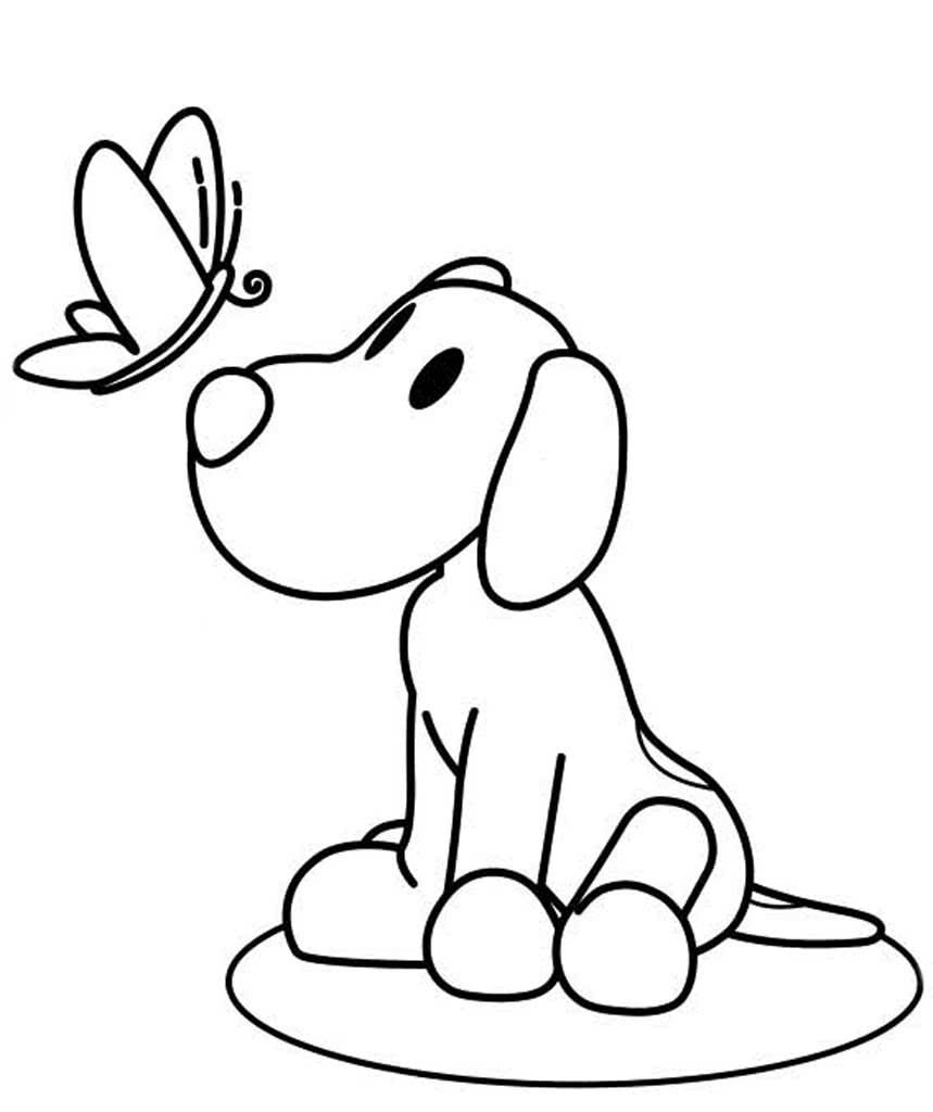 Ши-тцу контуры