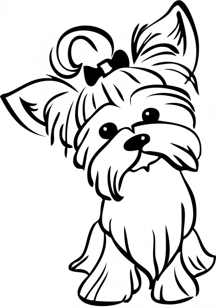 Раскраски РОБЛОКС питомцы