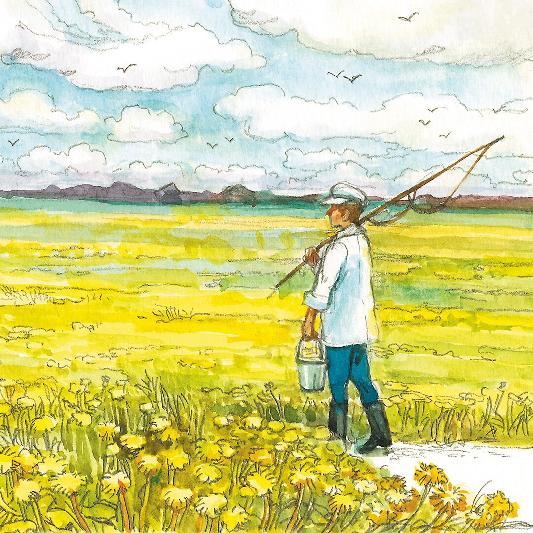 Рассказ золотой луг Михаил пришвин