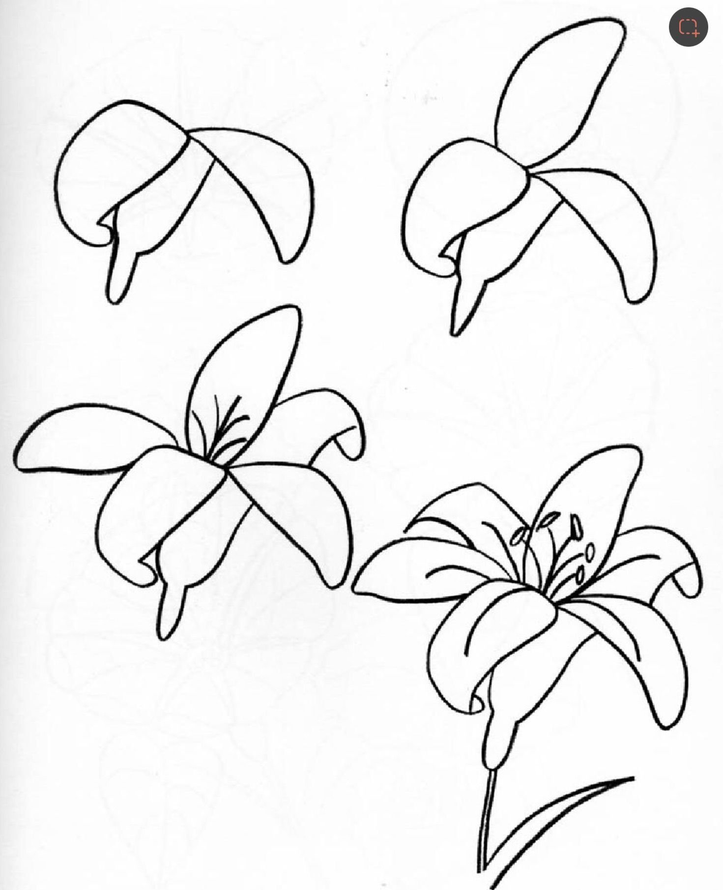 Как можно нарисовать цветок. Цветы рисунок карандашом. Рисунки для срисовки цветы. Лёгкие цветы для рисования. Рисунки цветов карандашом для срисовки.