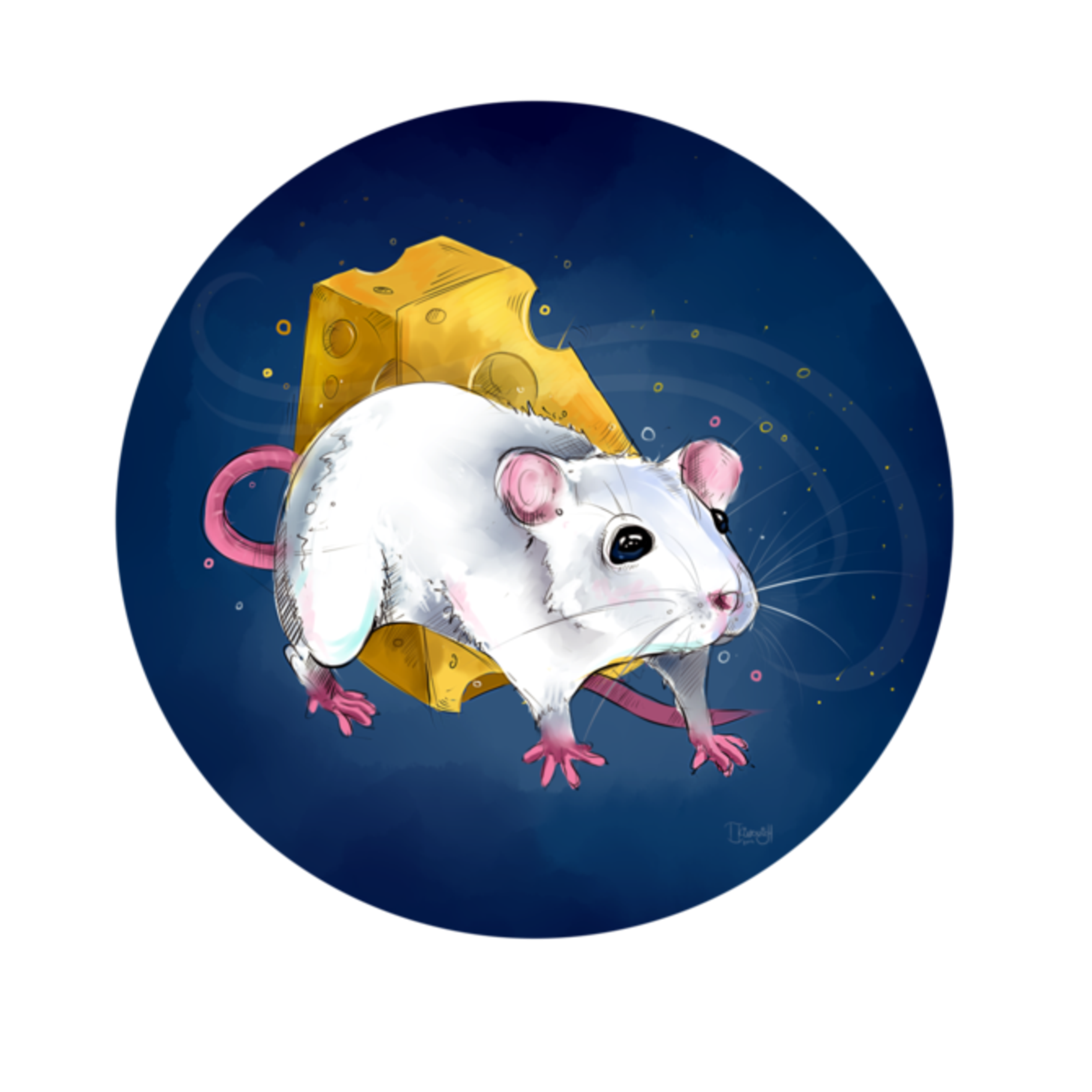 Круг мышь. Крыса на аву. Крыса иллюстрация. Аватарка крыса. Мышка в круге.