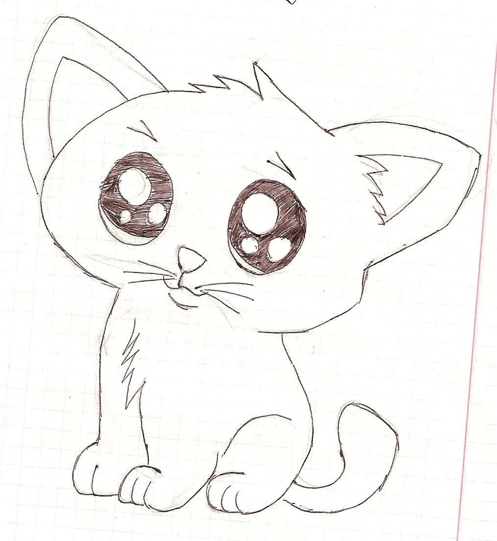 Рисунки для срисовки лёгкие