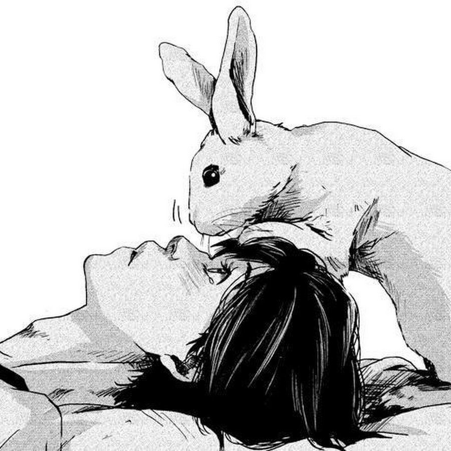 Референсы кролика на руках