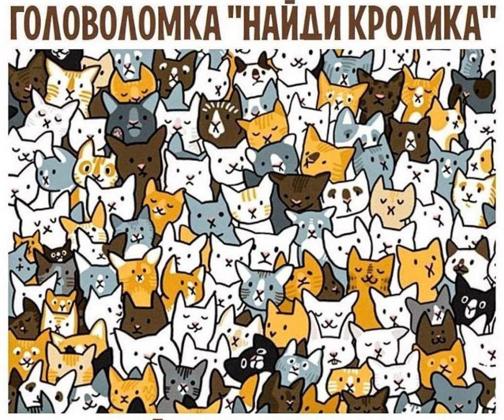 Кролик и котенок живопись