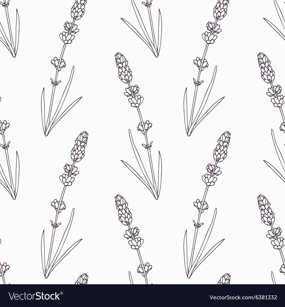 Тату Лаванда эскиз черно белый