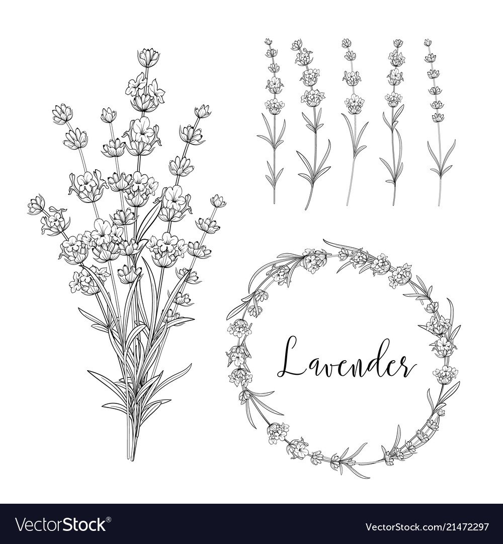 Цветы в кувшине раскраска