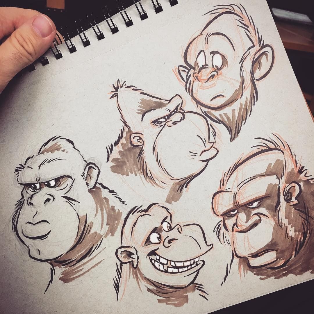 Обезьяна раскраска для детей