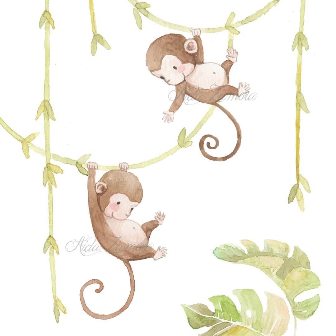 Обезьяна чб