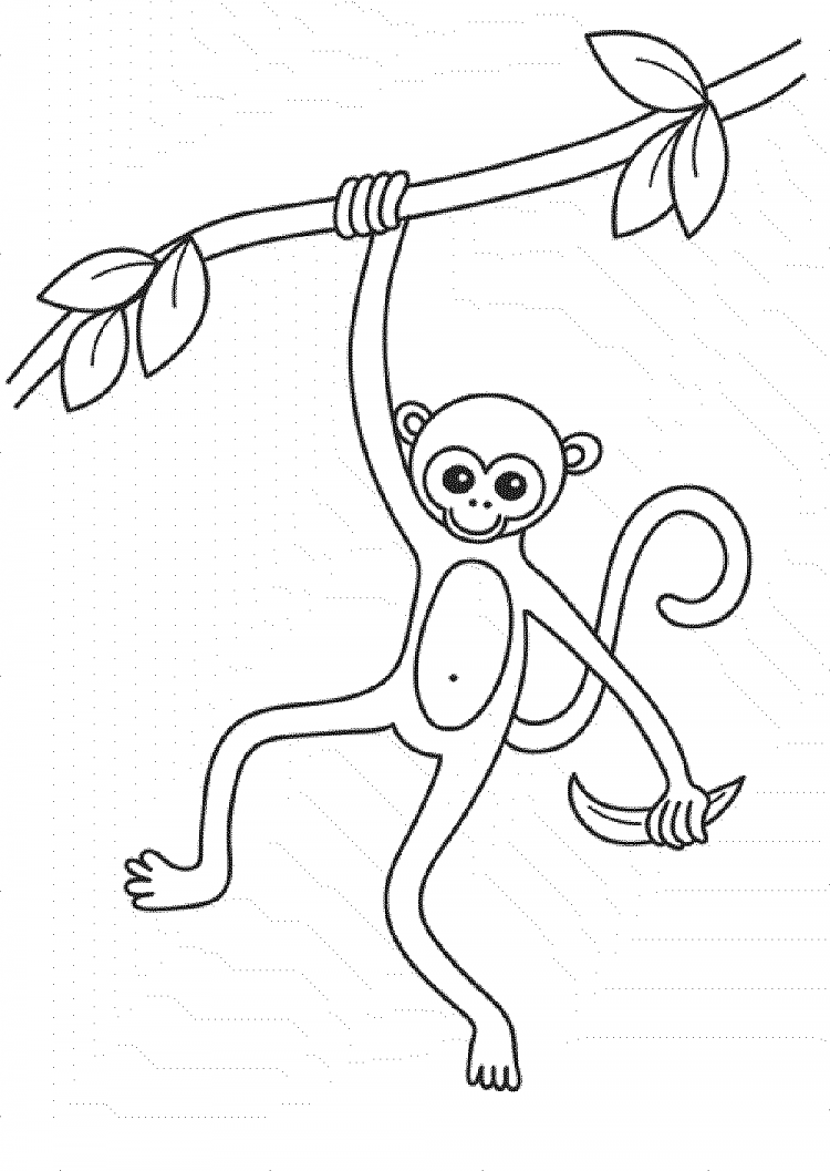 Обезьяна рисунок