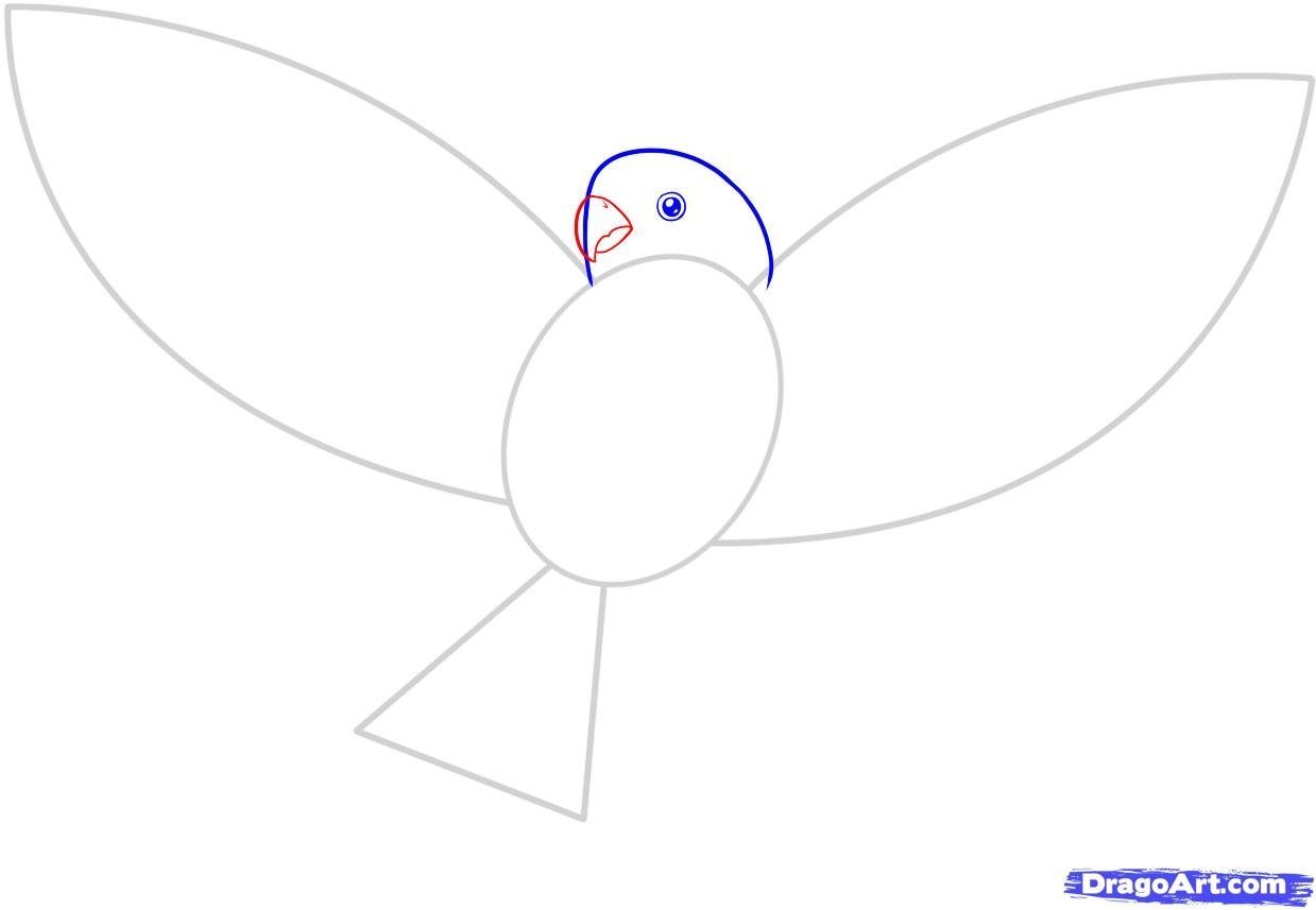 Рисуем птицу поэтапно. Голубь поэтапное рисование для детей. Рисуем голубя поэтапно для детей. Поэтапное рисование голубя 2 класс. Голубь рисунок карандашом для детей поэтапно.