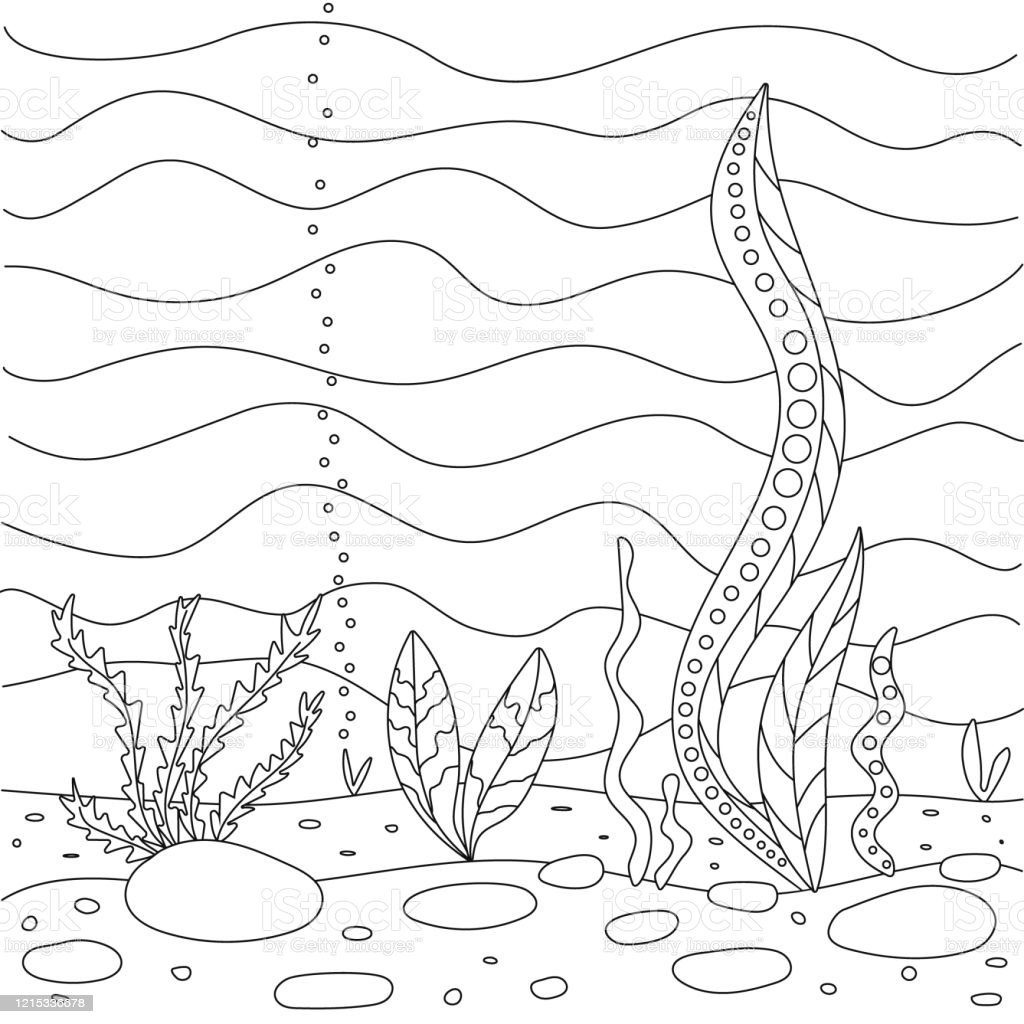 Раскраска Морское дно с водорослями