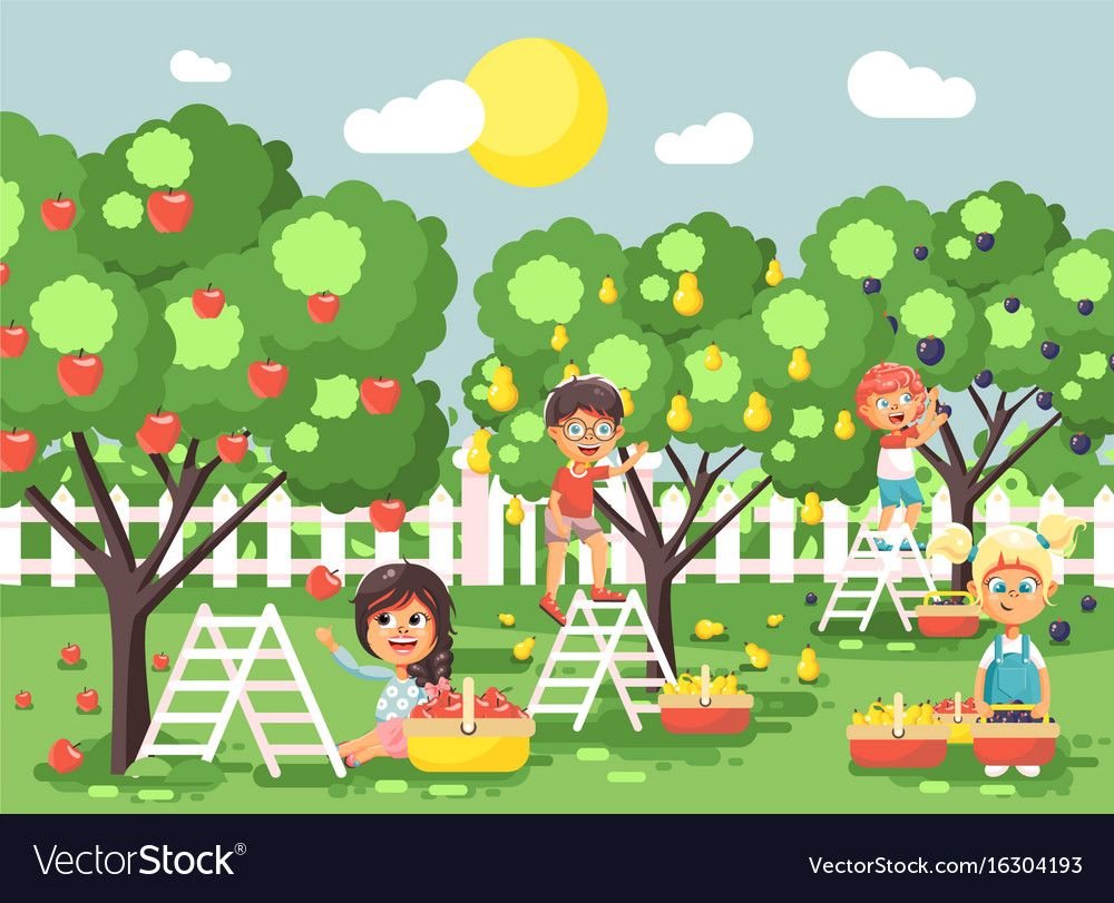 Картина фруктовый сад для детей