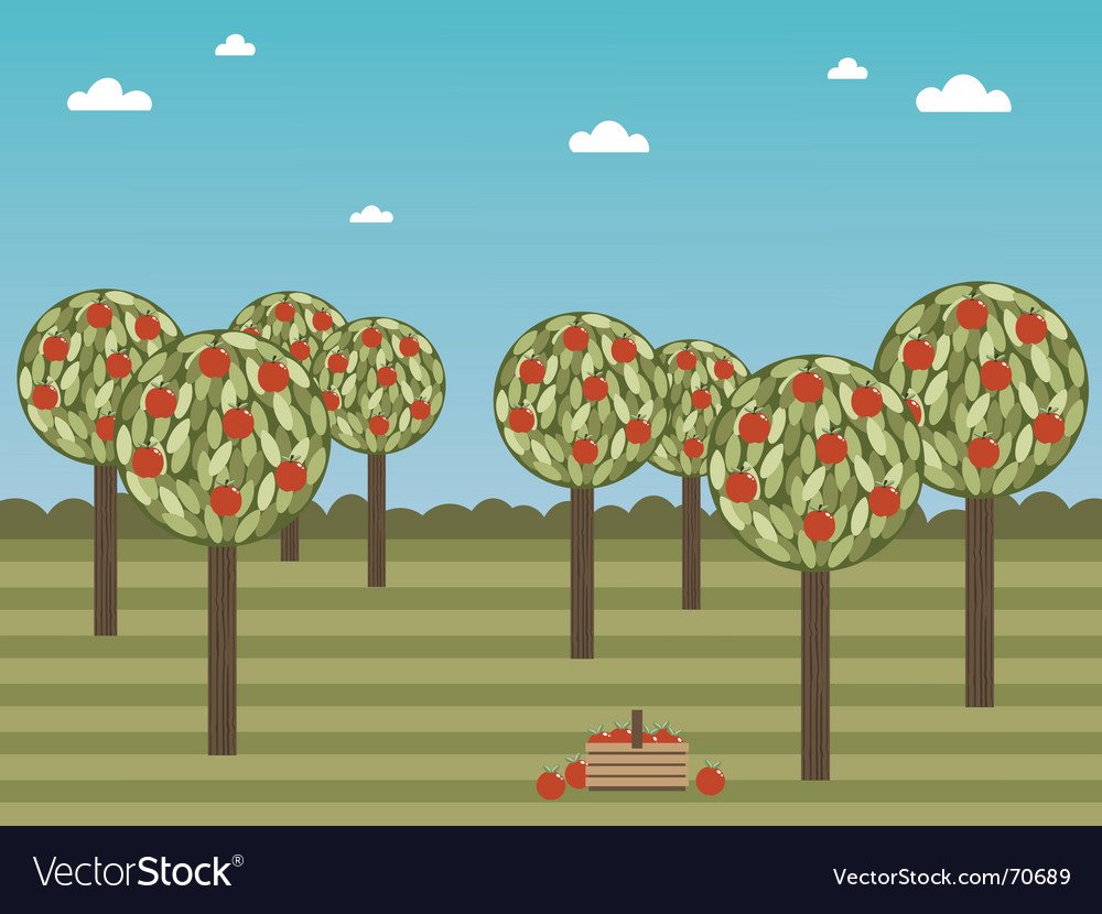 Яблоневый сад вектор