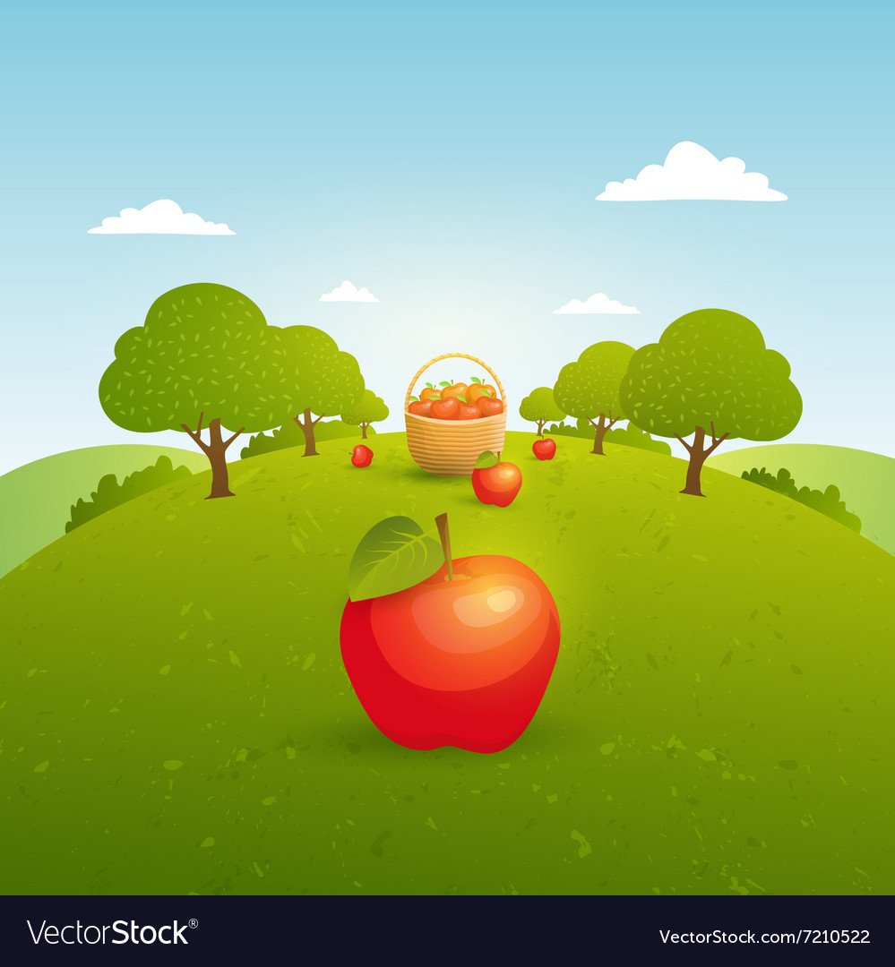 Яблочный сад вектор