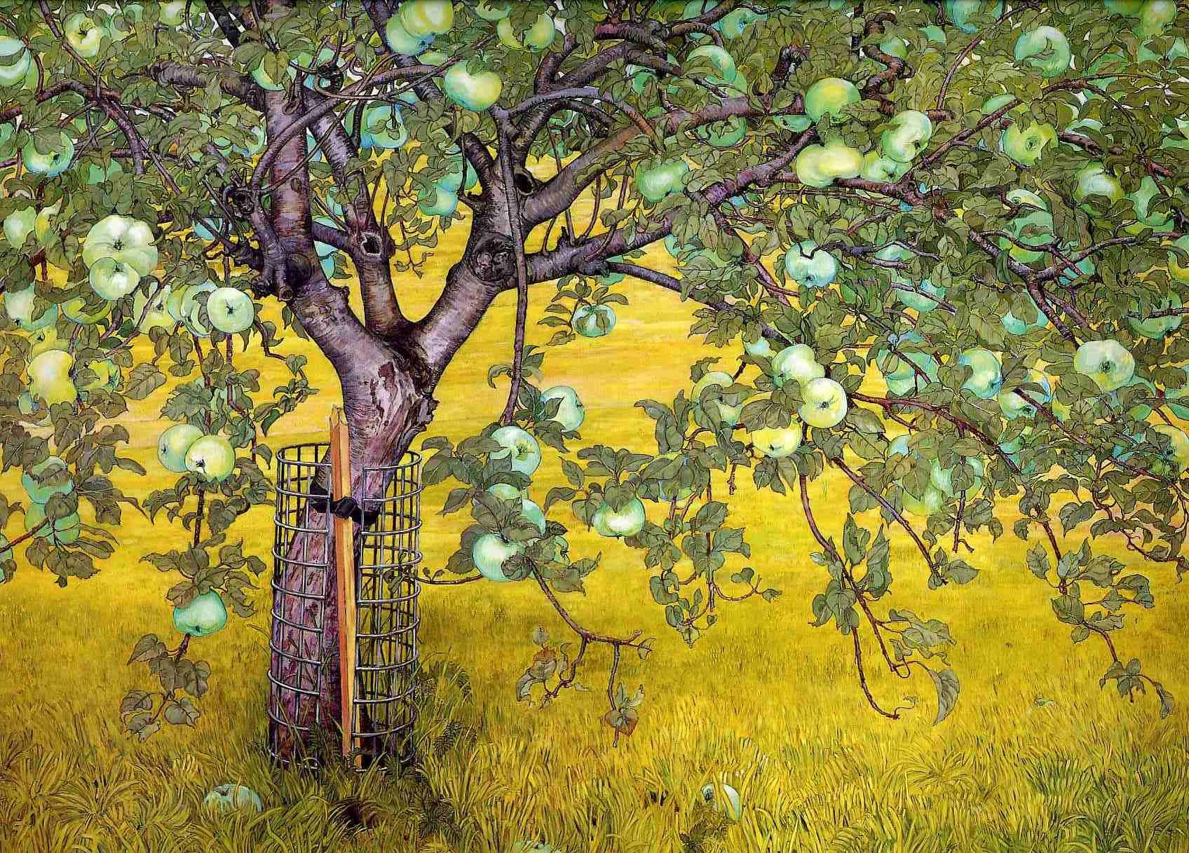 Яблоня картина. Яблоневое дерево Кристиан Беркель. Картины Монэ яблочный сад. Аполлинарий Васнецов ветка яблони. Аполлинарий Васнецов @ветка с яблоками&.