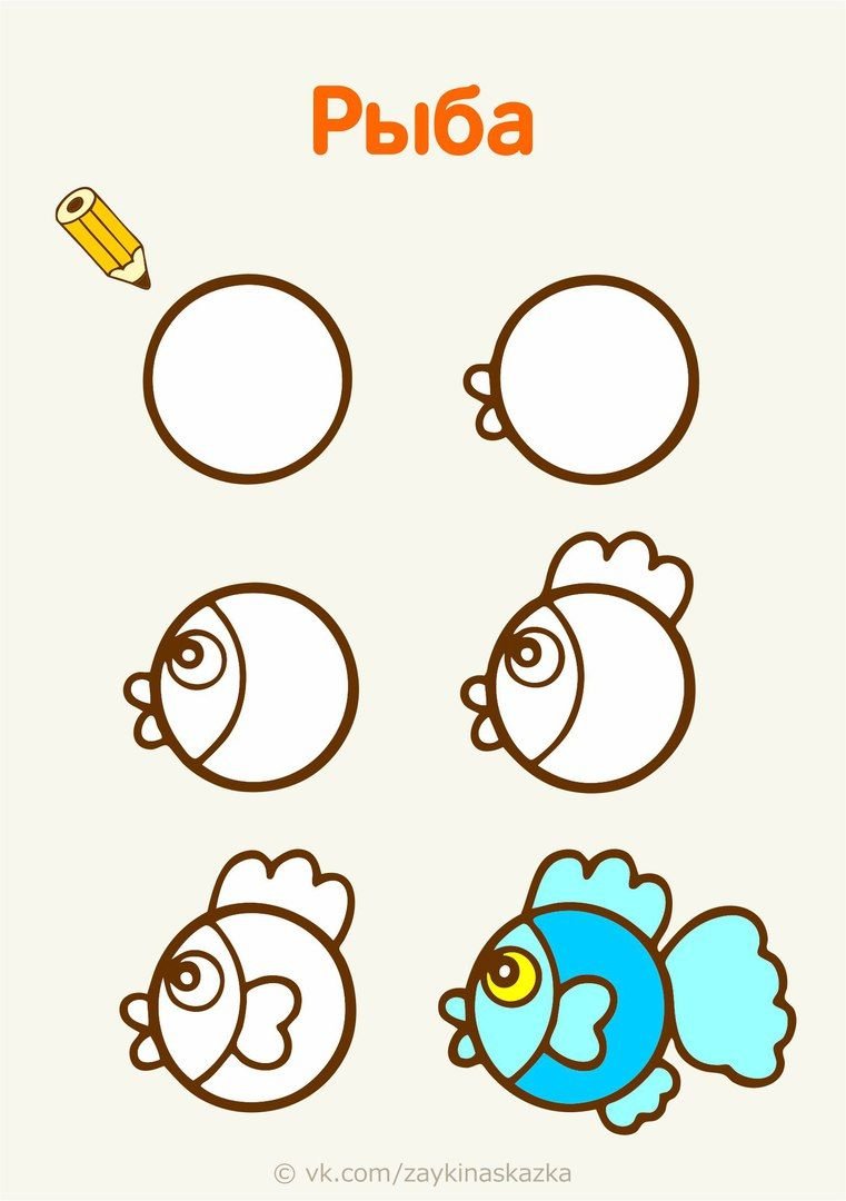 Авокадо рисунок