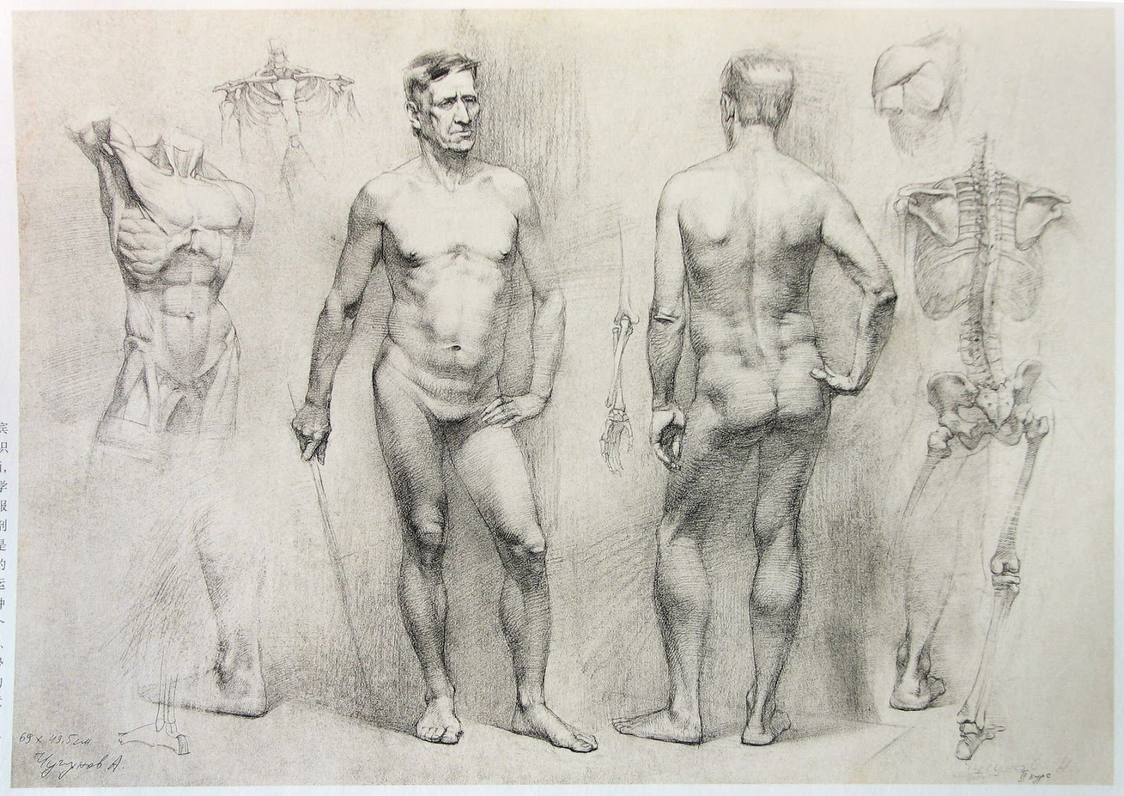 рисуем голых людей фото 113