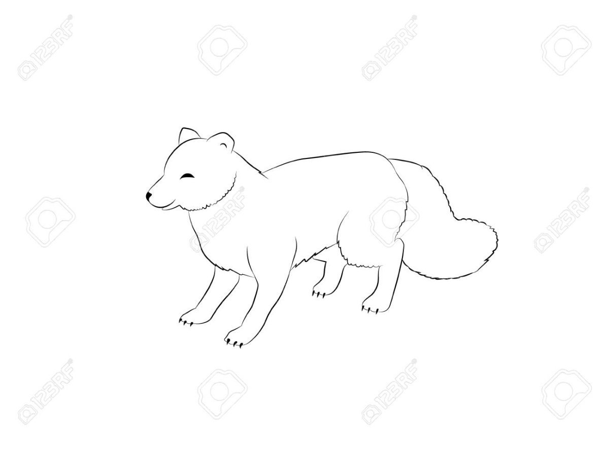 Песец силуэт