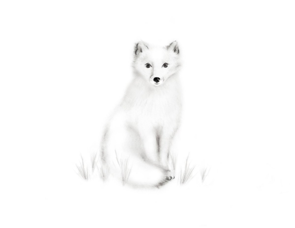 Писец карандашом