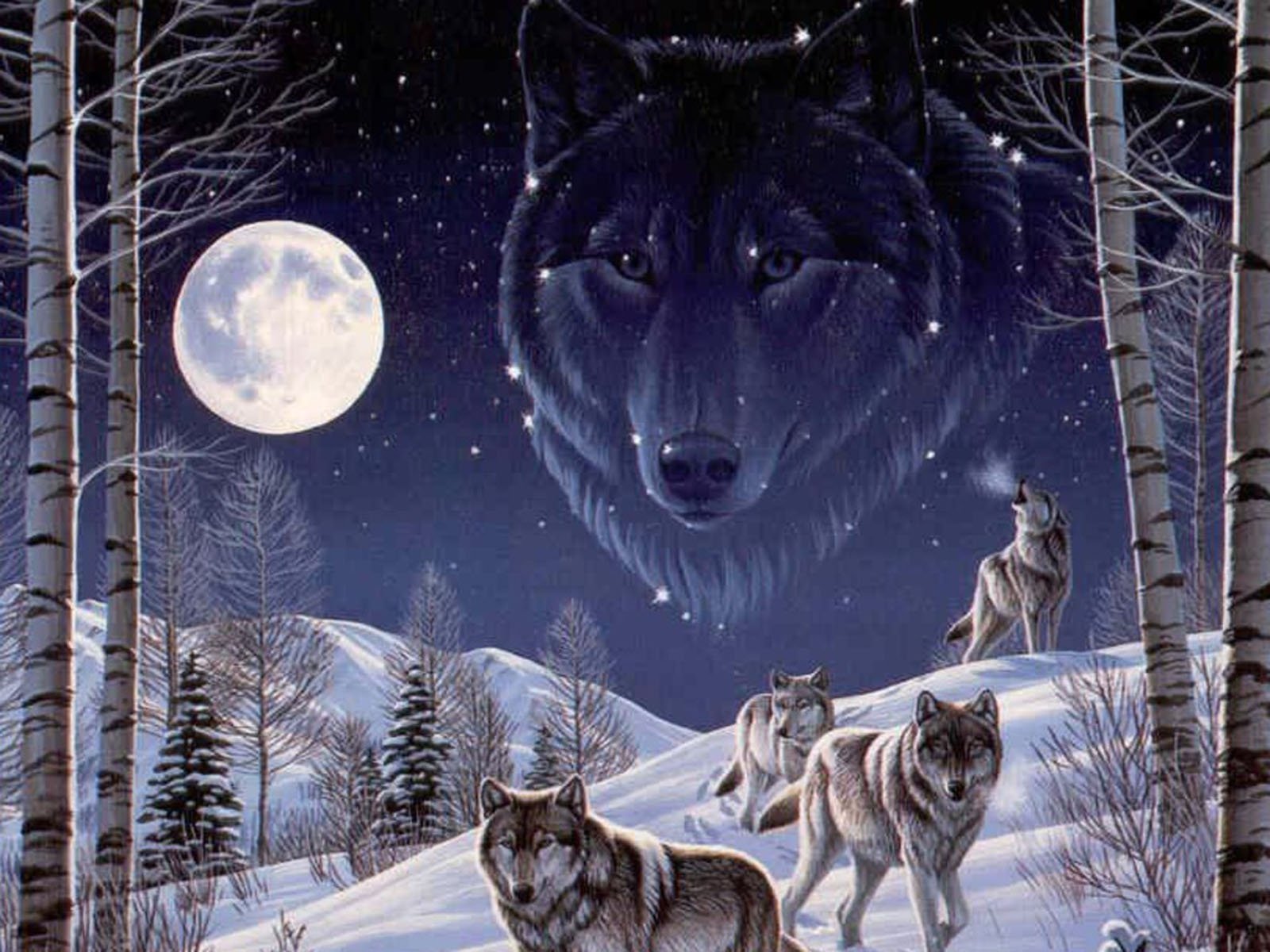 Заколдуй волка. Волк зимой. Пейзаж с волком. Волк в зимнем лесу. Стая Волков.