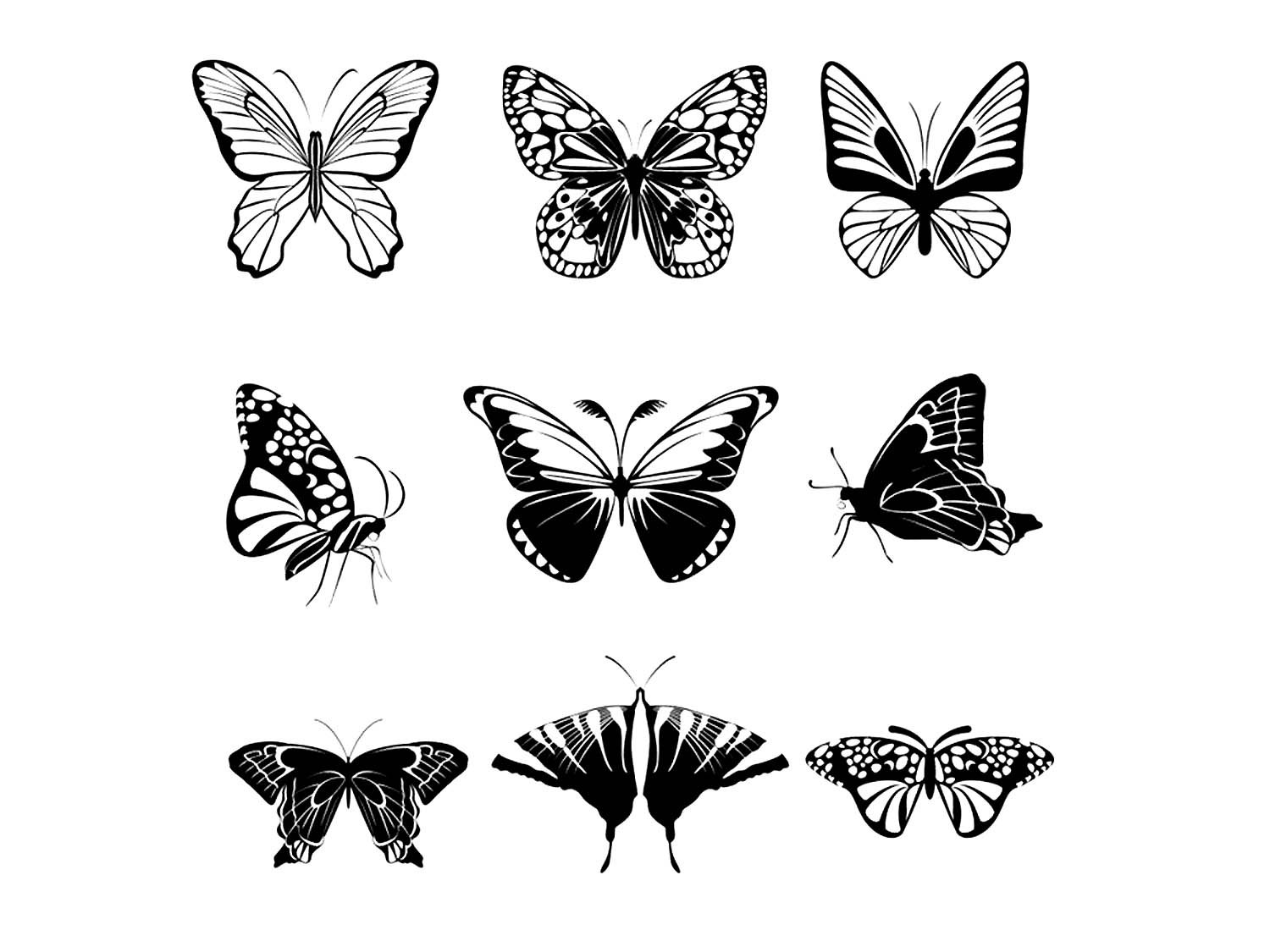 Распечатки бабочек черно. Трафареты бабочки. Бабочка рисунок. Трафарет бабочки для вырезания. Бабочка чб.