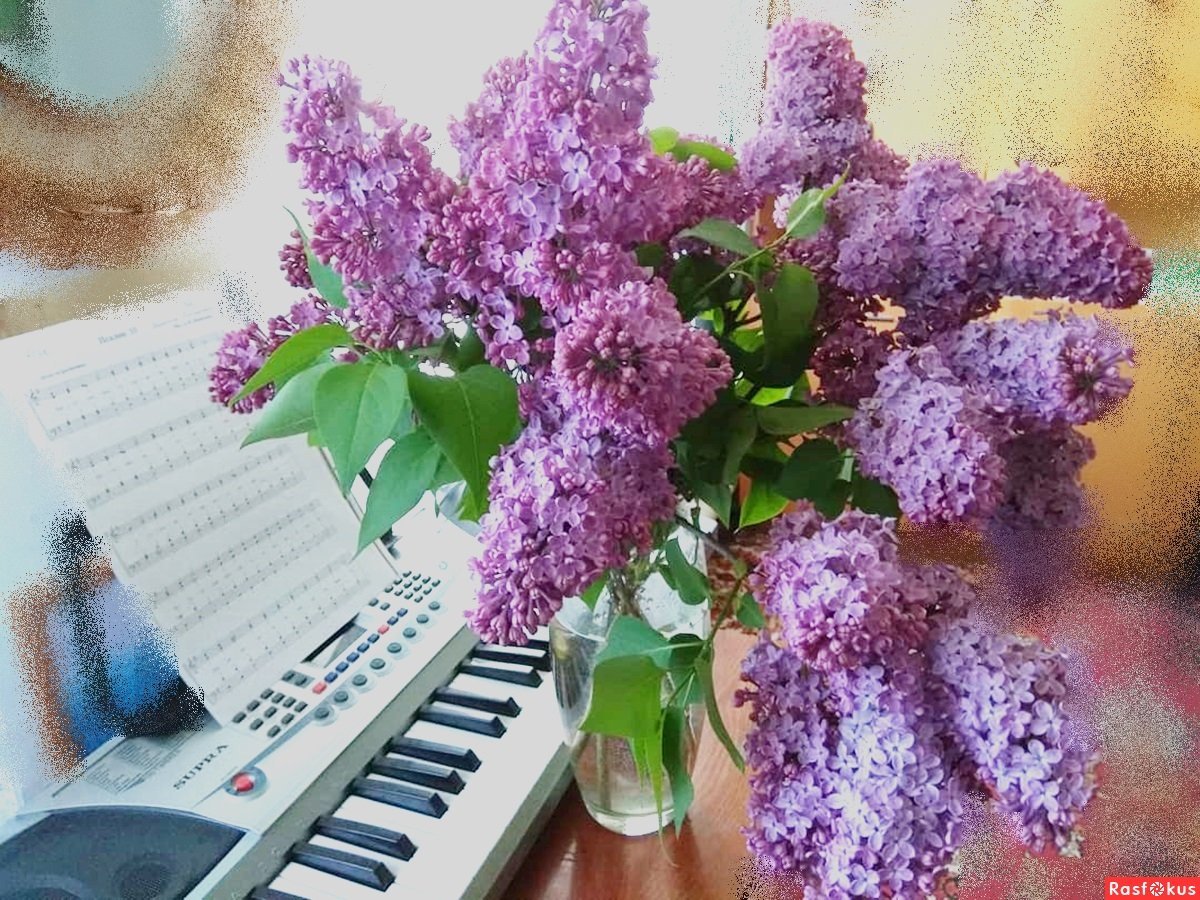 Букет "аромат сирени"