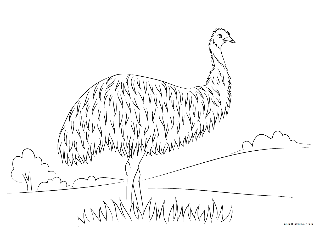 Emu cartoon