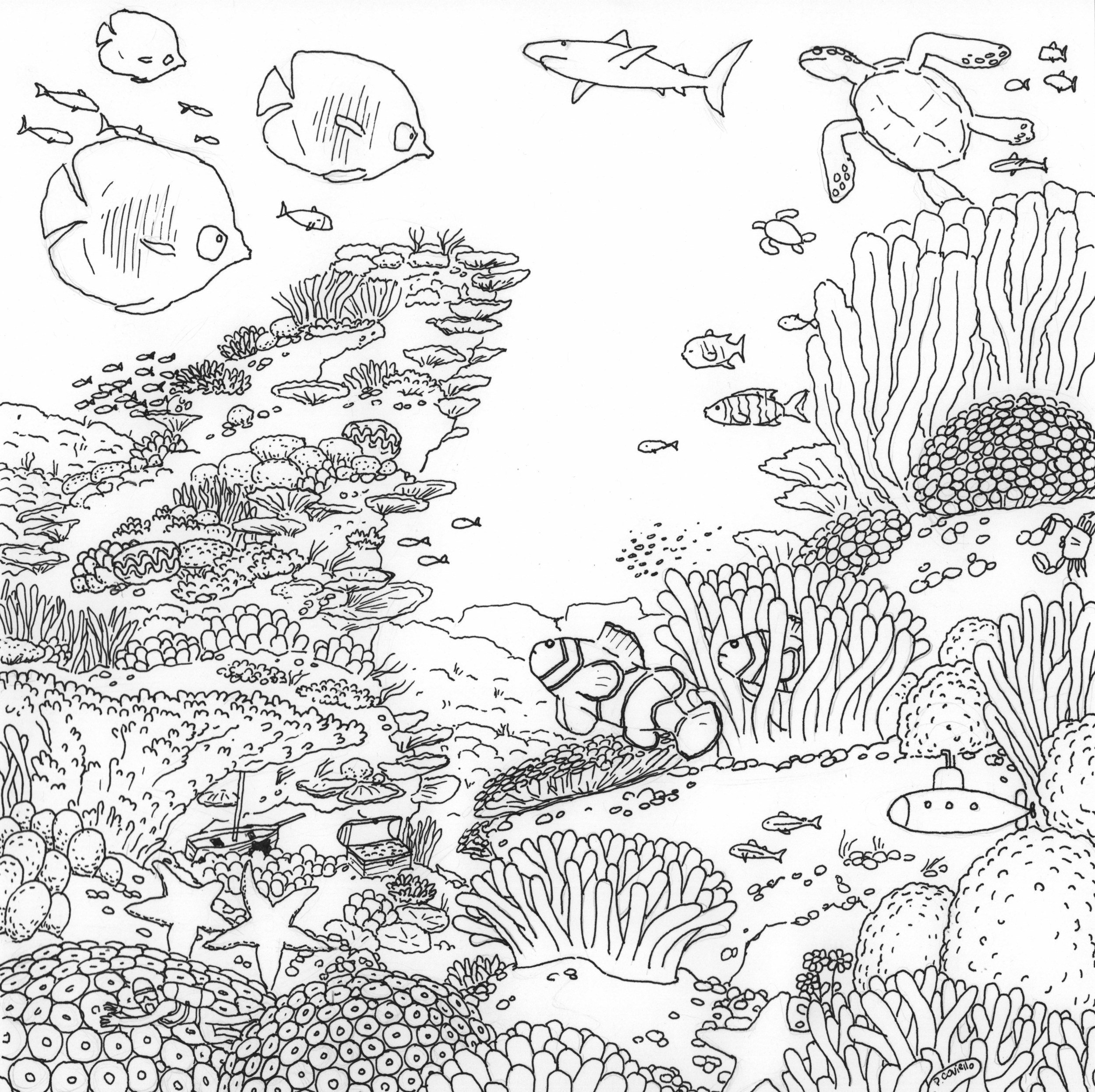 Схему затерянного моря. Морское дно раскраска для детей. Коралловый риф раскраска. Раскраска. Морской мир. Морское дно рисунок карандашом.